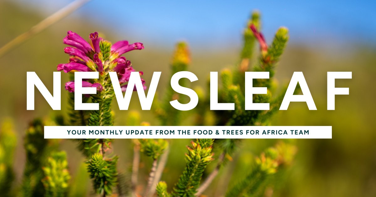 Food & Trees for Africa tweet media