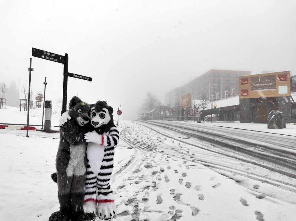 WhhiteLionn's tweet photo. Winter is coming. 🥶

 I'm going into hibernation. 😴

Wishing you all a Merry Christmas and a Happy New Year. 😊

I'll be back at the end of January. 

🦁@WhhiteLionn

🐺 https://t.co/4CmGMUGRLV

📷 https://t.co/oj14P848Bh

🪡@CeeGeeFursuit: WhiteLion 

Happy #FursuitFriday 😄😊 https://t.co/sKuqMxfNr7