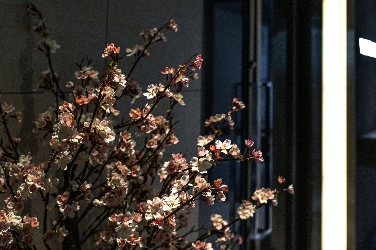 47group_pr's tweet photo. 当社が手掛けたオフィス内装実績を公開しました。

株式会社VISIONARY JAPAN様
「芯の強さを感じさせる、格式高いオフィス」 https://t.co/Cghq5CIR9q