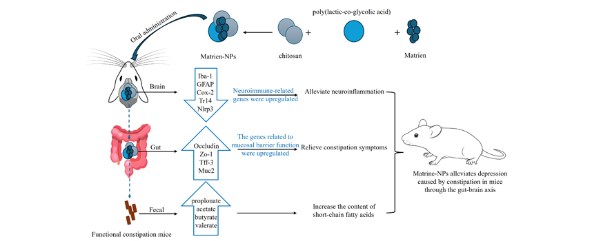 eCM Journal tweet media