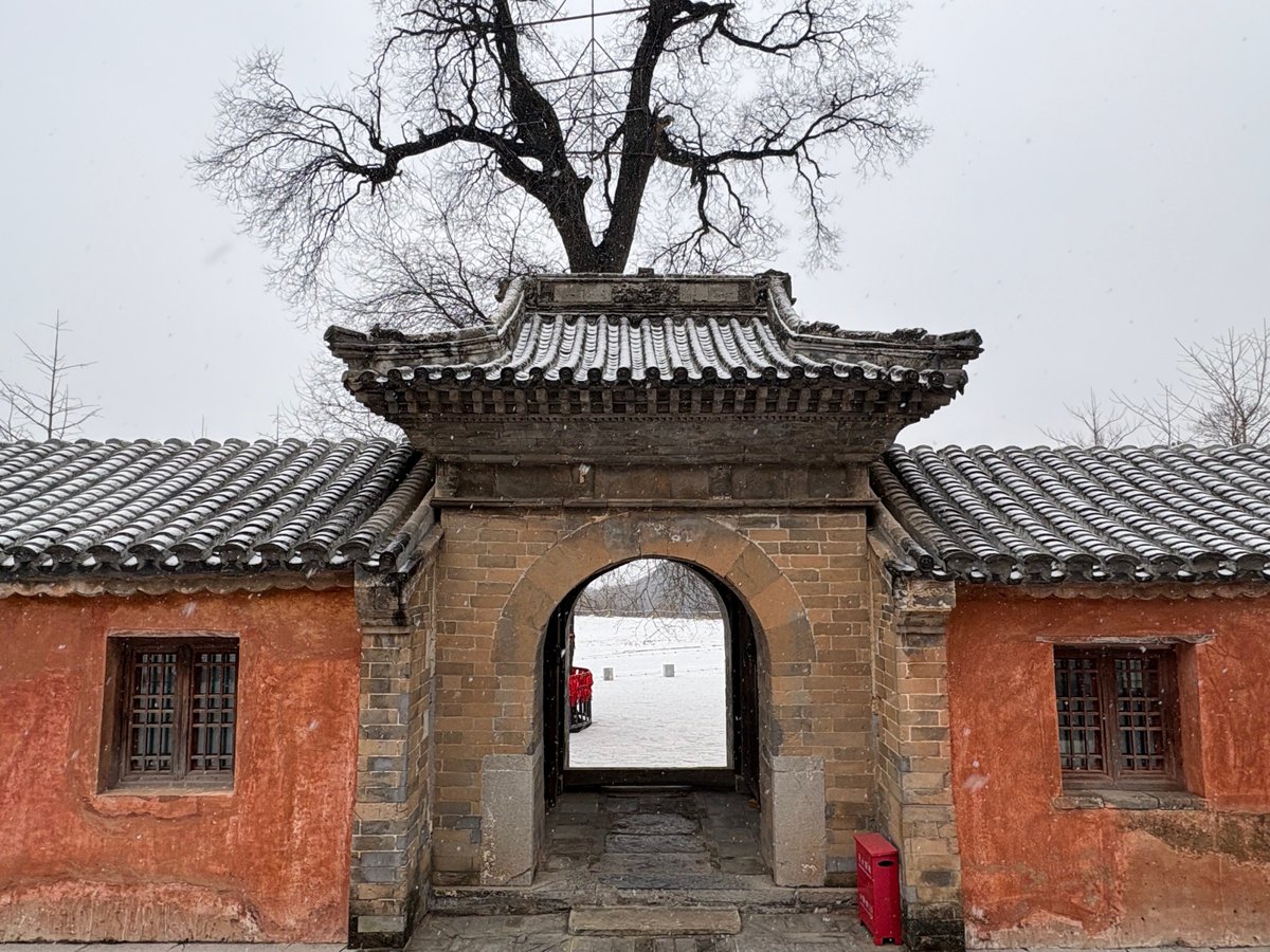 Beijing Daily tweet media