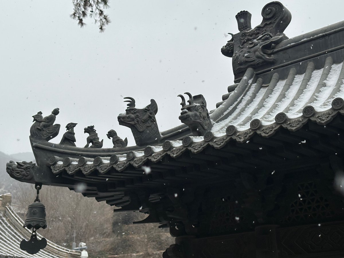 Beijing Daily tweet media