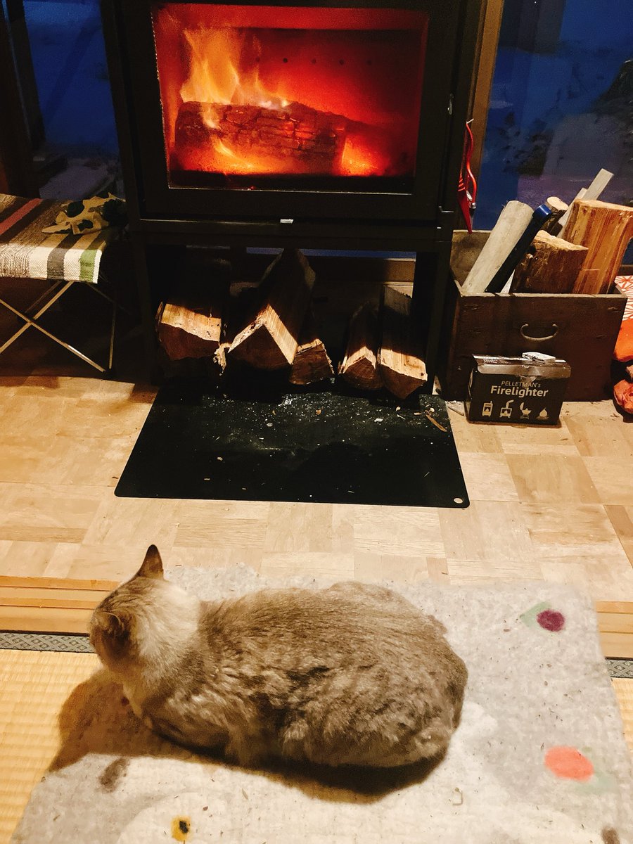 しゃけちゃんはすっかりストーブの虜🔥
#猫 #猫のいる暮らし