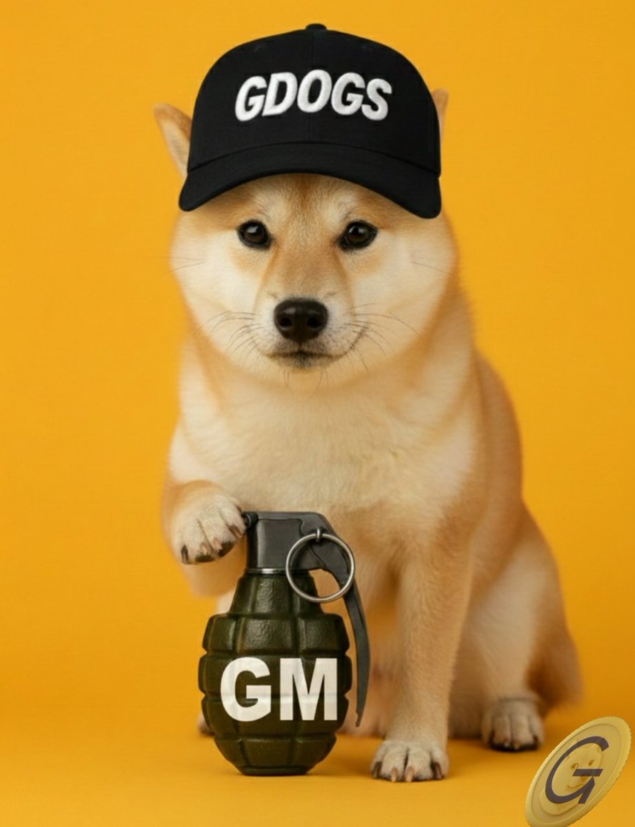anonzedcoin's tweet photo. GM 💛 everyone.
Treat yourself with the $GDOGS token. 

Ca : FDqRvdwu1T8qtzWNQqphwqTVsBivGYfx12EEApzMdoge

#anoncoinit #mydoginal #DogeOs #LowMarketCapGems #Dogecoin https://t.co/eDVRwxL2x7