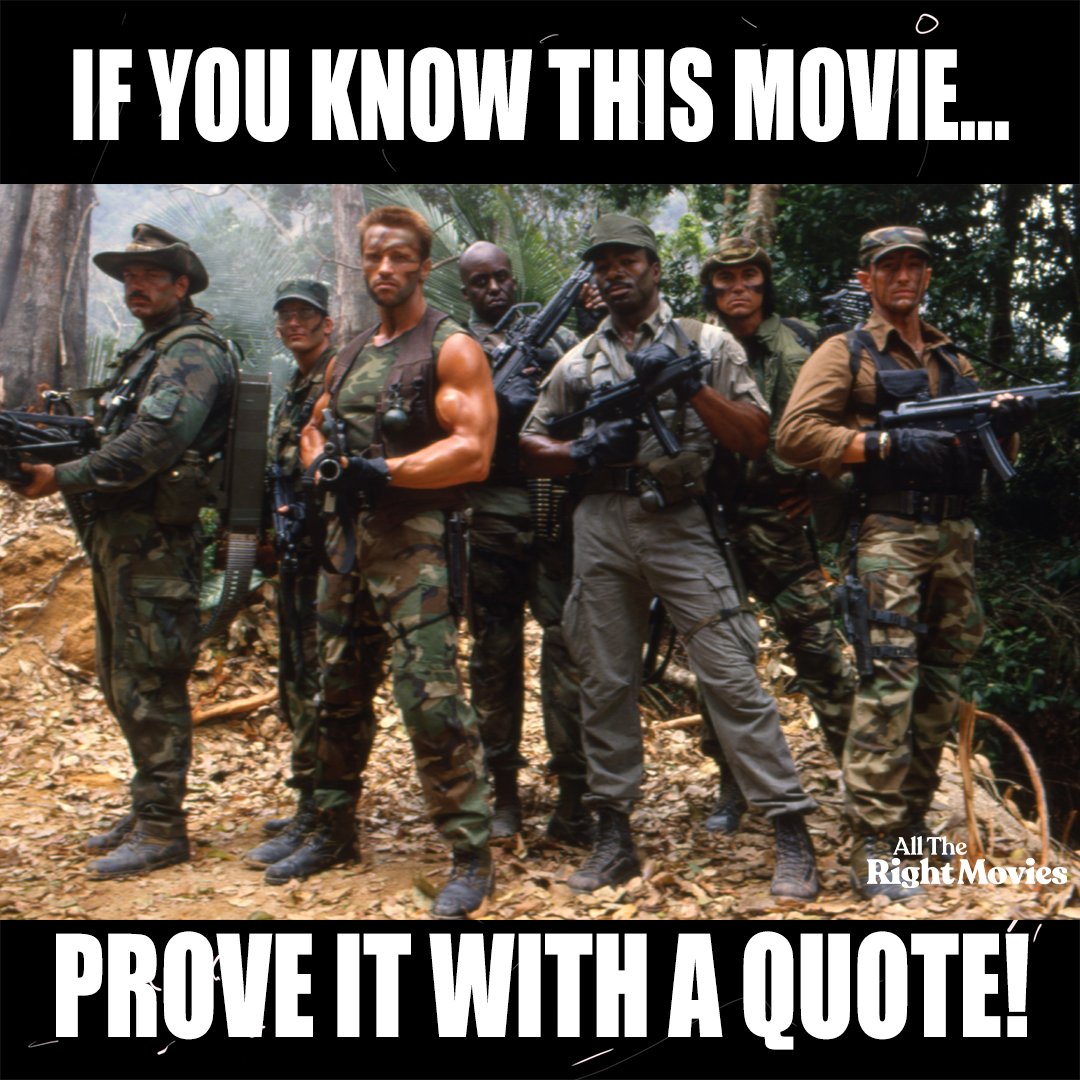 All The Right Movies tweet media