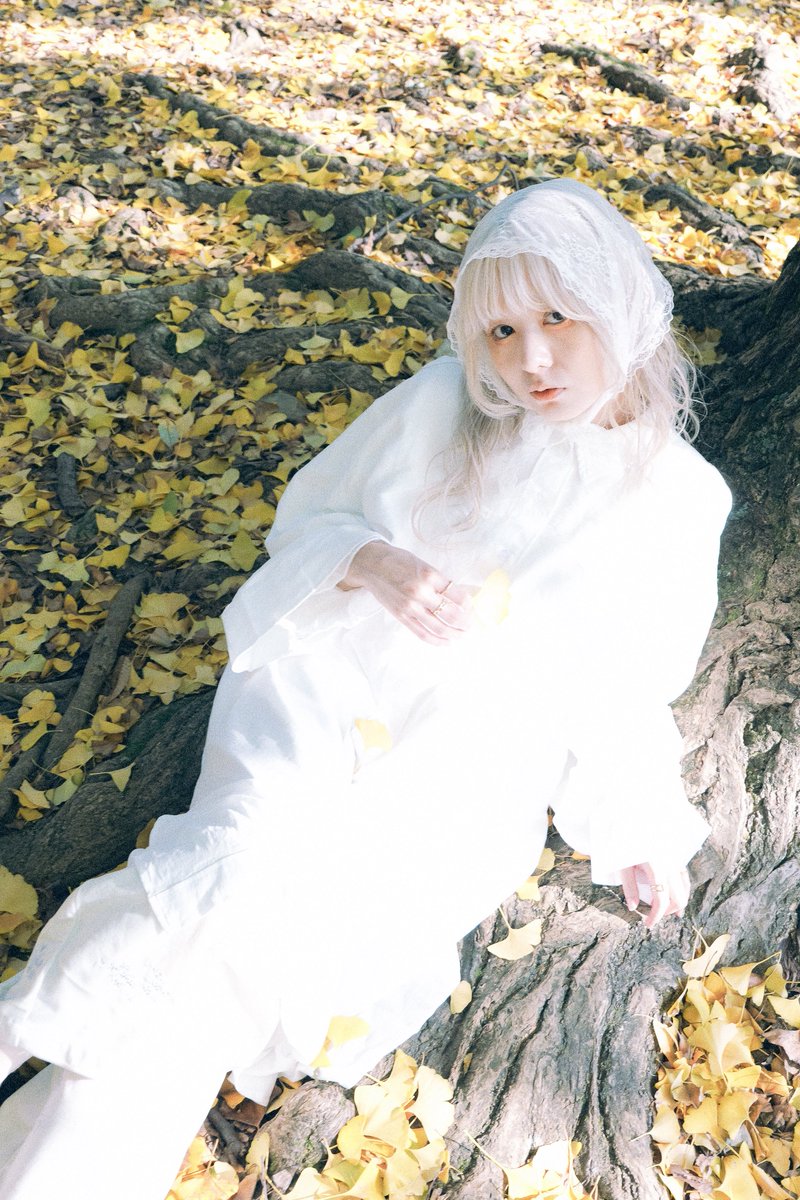 Post by おさとう on X: 🍂