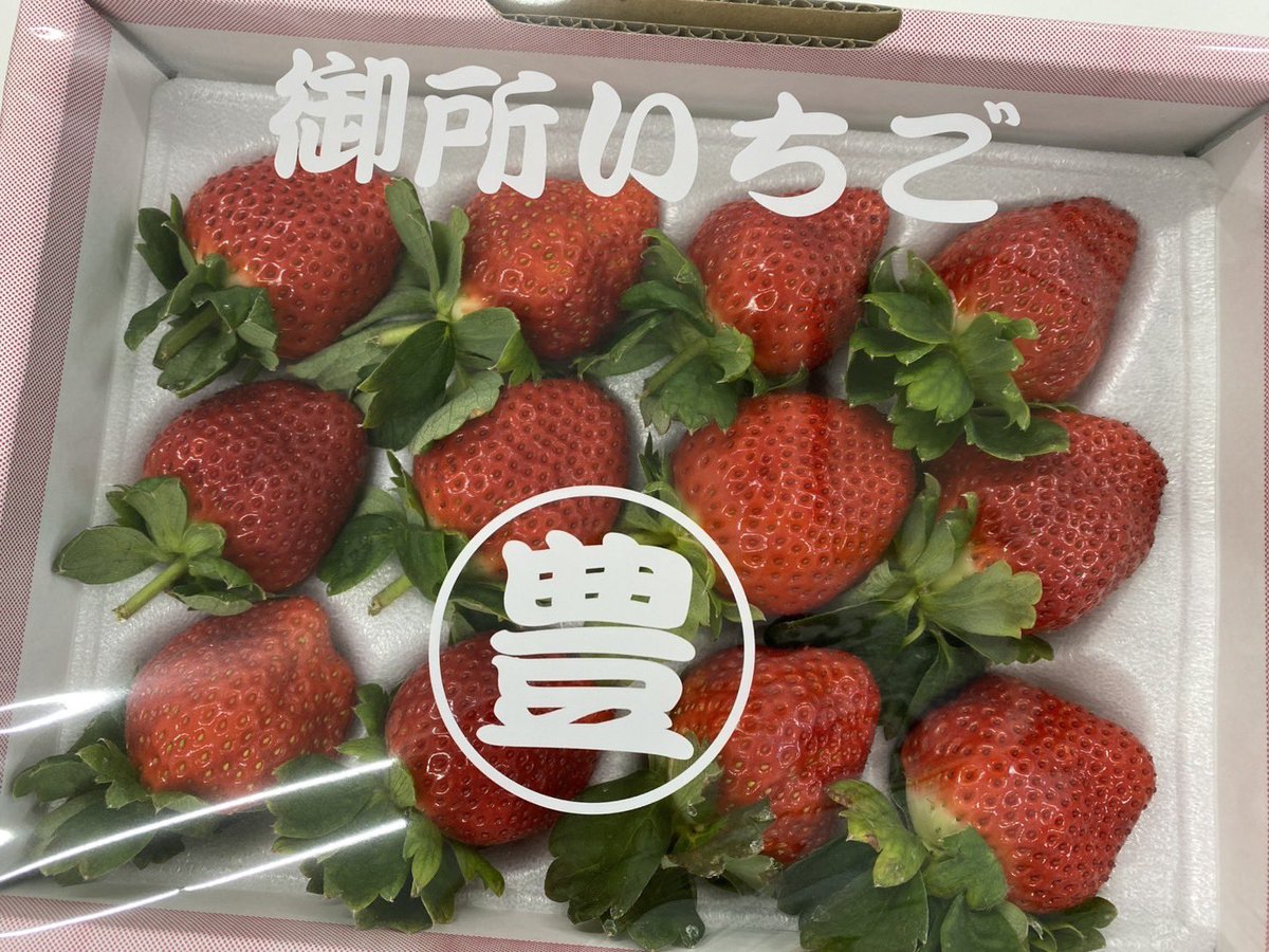 ナニフラ園芸部👩‍🌾】 ❄️12月の活動報告❄️ ⭐︎現在育てている