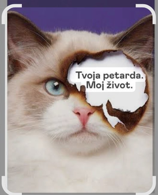 Птица у души. (@azra2209) on Twitter photo 