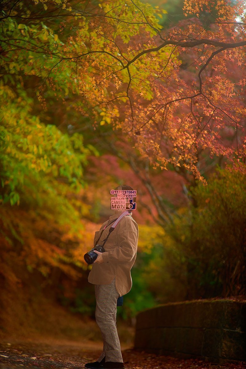 TTT（フォロー&RT歓迎！） tweet media