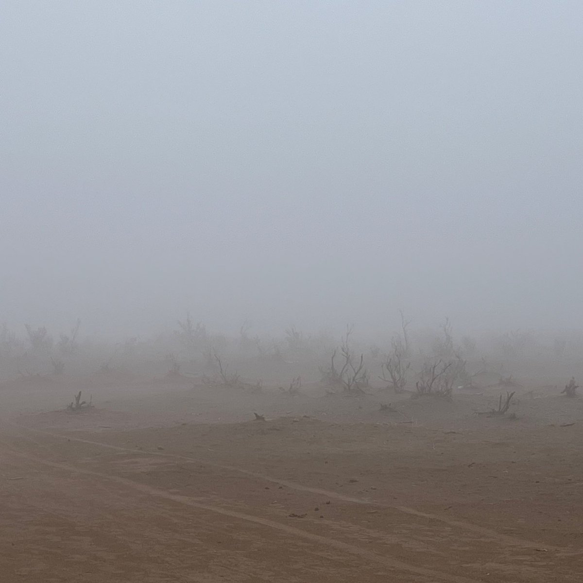 از امروز، کویر مه‌آلود و جذاب