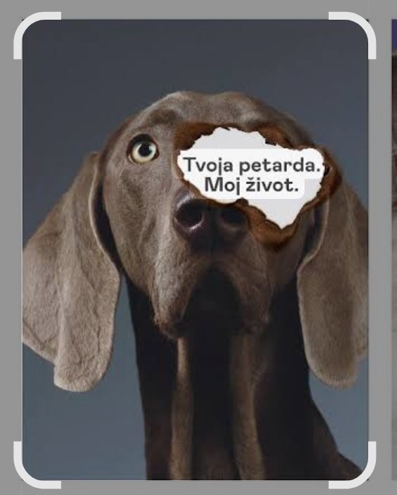 #psi 
#svi 
#ljubimci 
#ulicnezivotinje