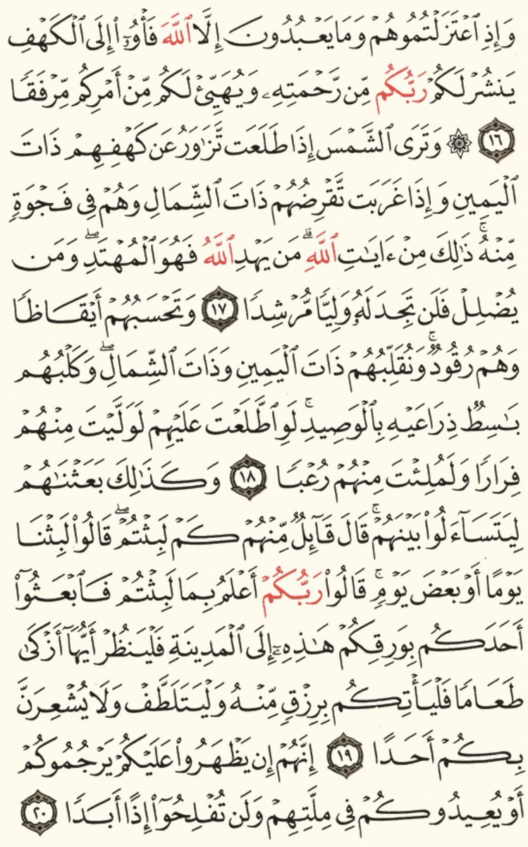 olasaeid1's tweet photo. #سورة_الكهف 
اللهم ارحم عُـلا و اغفرلـها 🍃 https://t.co/ChjuezX544