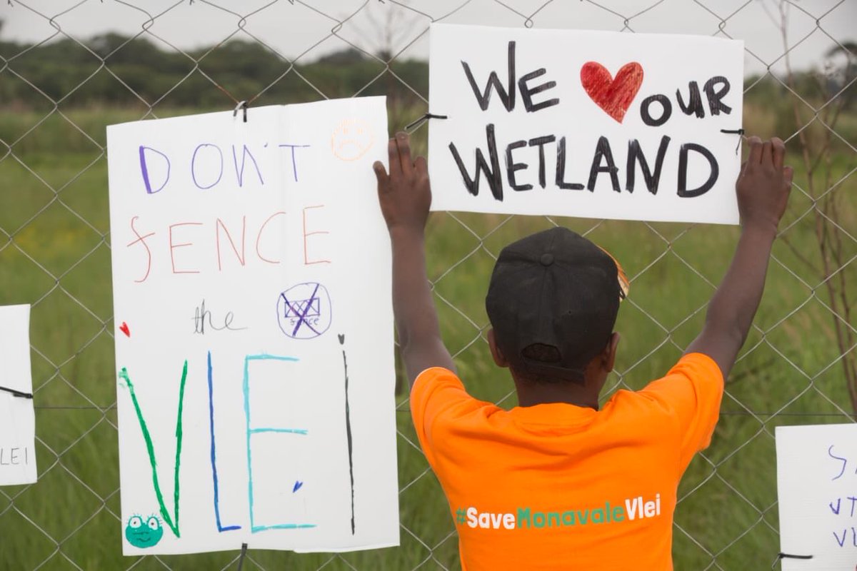 For decades, the Conservation Society of Monavale (COSMO), <a href="/birdlifezim/">BirdLife Zimbabwe</a> &amp; the whole community have diligently protected &amp; conserved <a href="/MonavaleWetland/">Monavale Wetland #SaveMonavaleVlei</a>—turning it into the world-renowned Ramsar Site it is today. 

Now they’re being shut out by developers’ fences.😩 #SaveMonavaleVlei