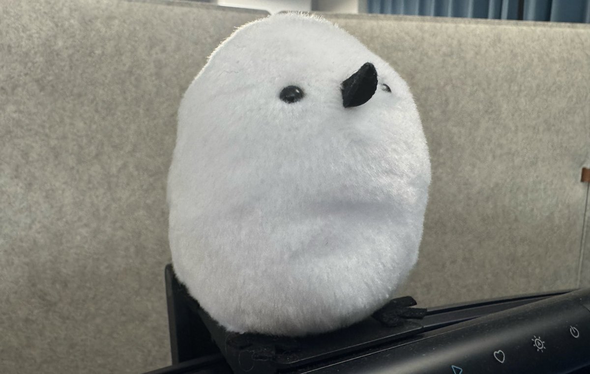 こだっく🍹 (@kodakku_ny) / Posts / X