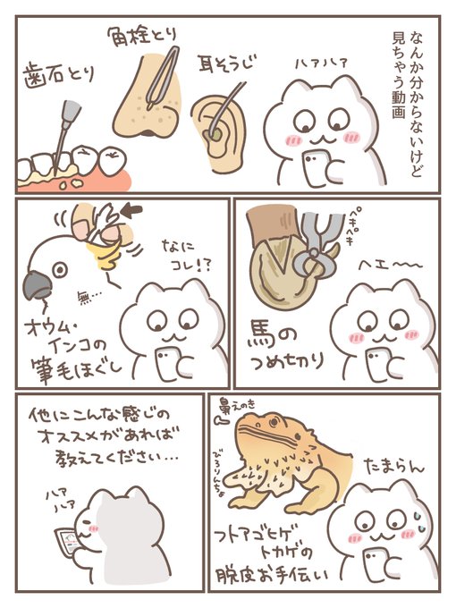 もずく@がんばってはたらく(@mozuku_zqu) さんのマンガ一覧 : 5ページ