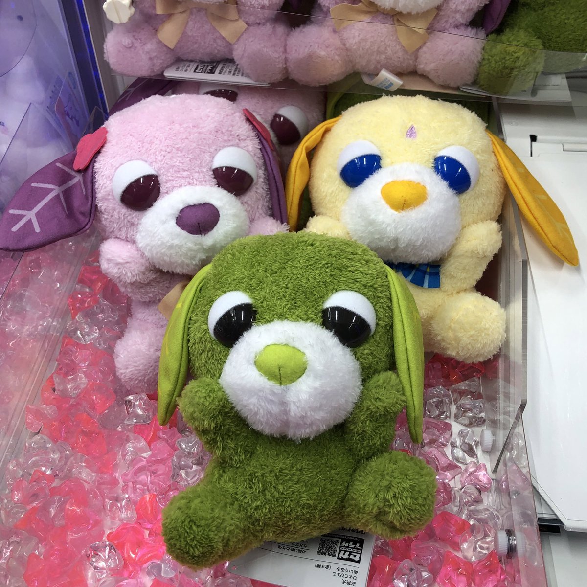 景品情報】 お茶犬 ひょこぴょこ ぬいぐるみ ✨入荷しました✨ 🐶ご