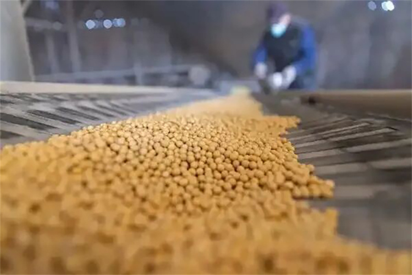 🌾A #China alcançou mais um ano de #safra recorde de grãos em 2025, com a produção total atingindo um recorde de 714,88 milhões de toneladas, segundo dados divulgados nesta sexta-feira (12) pelo Departamento Nacional de Estatísticas (DNE).