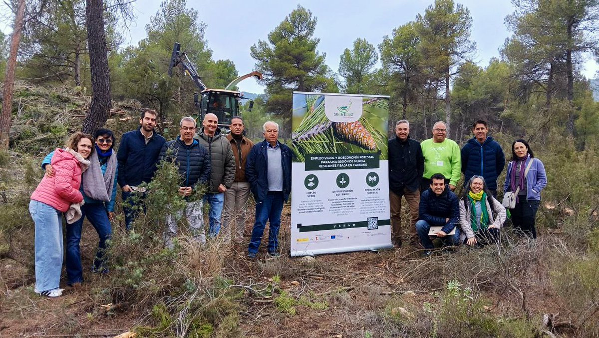 MURCIA FORESTAL tweet media