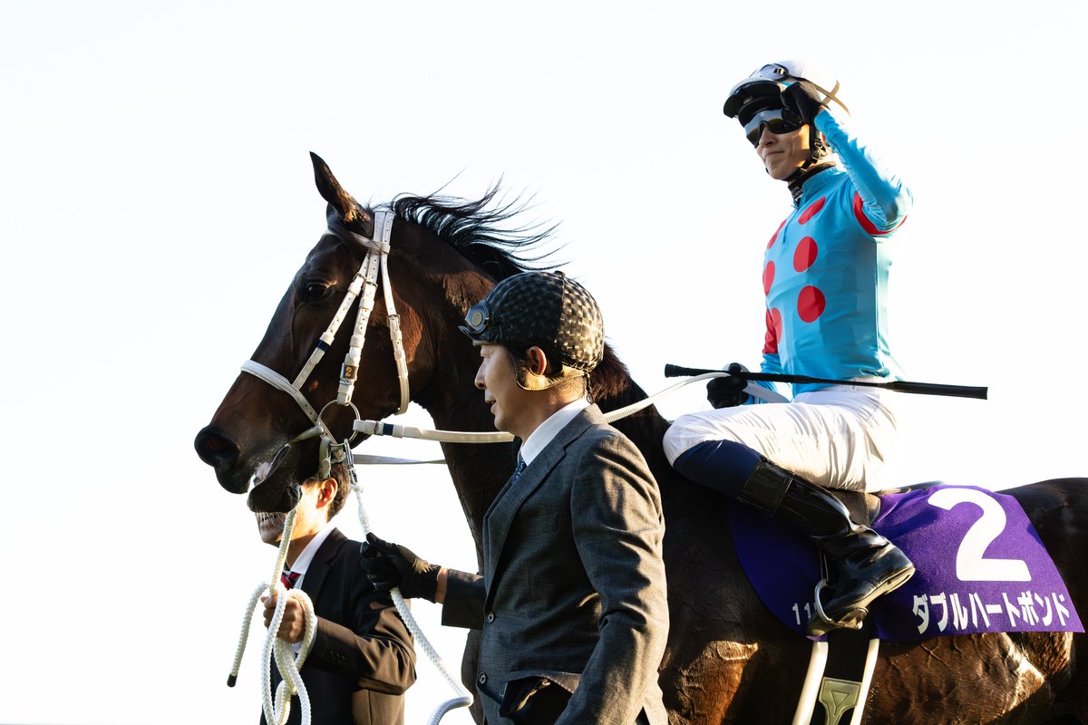 サラブレッド血統センター (@Thoroughbred_PC) / Posts / X