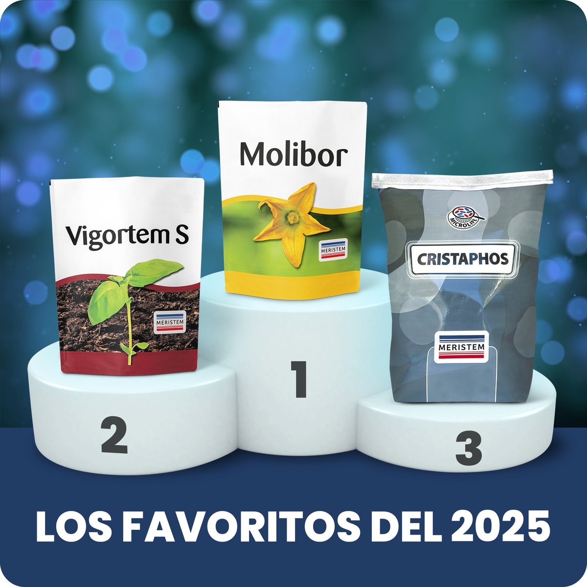 Meristem tweet media