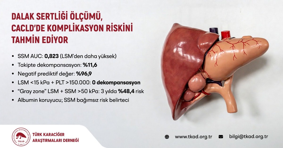 tkadorg's tweet image. 📍 Clinical Gastroenterology and Hepatology’de yayımlanan prospektif çalışma, dalak sertliği ölçümünün (SSM) cACLD hastalarında komplikasyon riskini öngörmede güçlü bir prognostik belirteç olduğunu gösteriyor.

Doi: 10.1016/j.cgh.2025.01.031