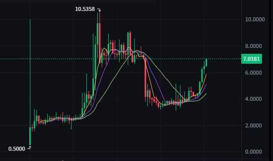 456girls ⚡️Premium+ tweet media