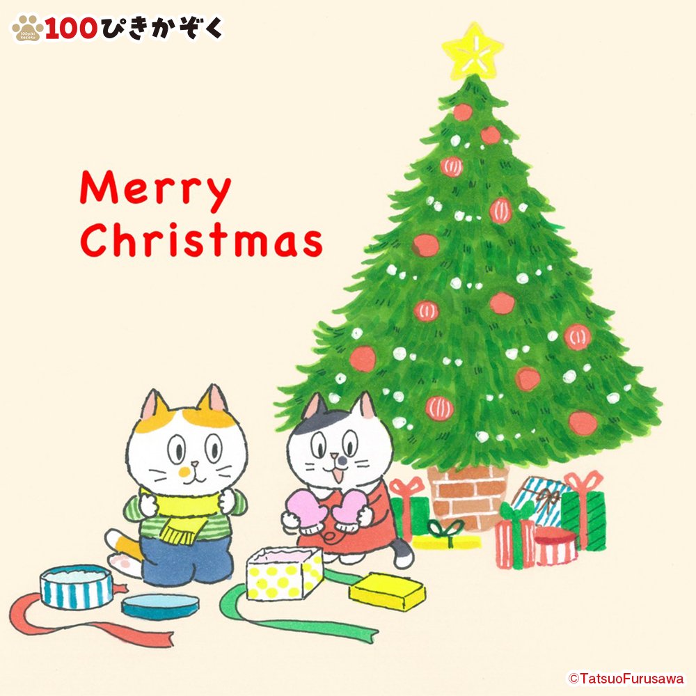 もうすぐクリスマスですね！
街もクリスマス一色でワクワクしてしまう毎日です🎄