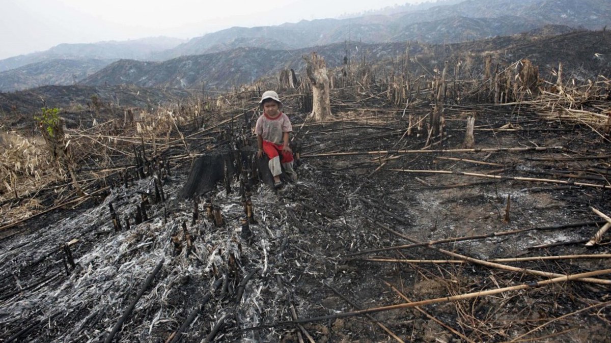 PalmOilDetect's tweet image. #Research finds outbreaks of #zoonotic #diseases are linked to changes in #forest cover and global #palmoil expansion Resist the ecocide when you shop! 🌴🔥🧐🙊⛔️ #Boycott4Wildlife #Boycottpalmoil @palmoildetect palmoildetectives.com/2022/01/27/202…