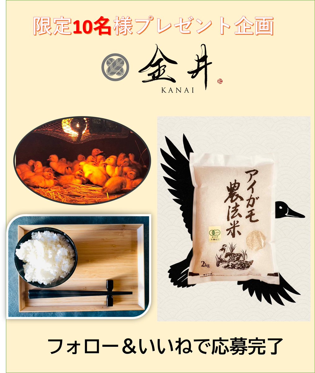 ステイシー (@FZXIJWaI21YgNP6) / Posts / X