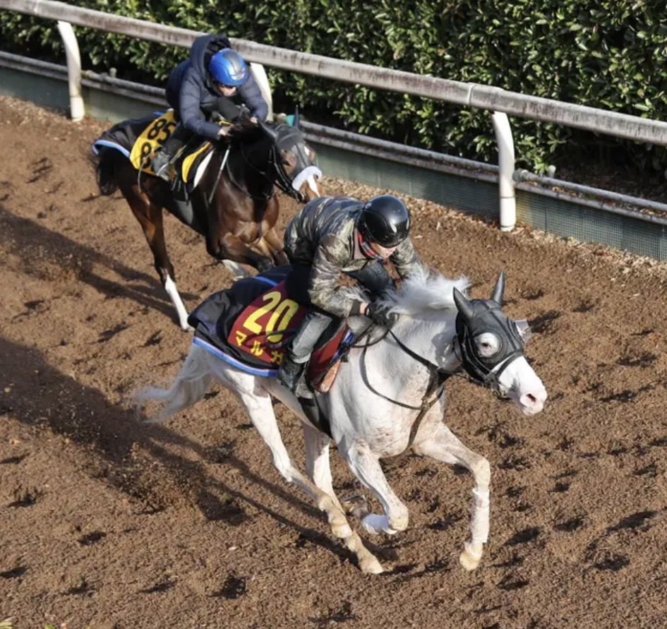 ピーちゃん a51494b66b20eaec11fe501f5bdf79