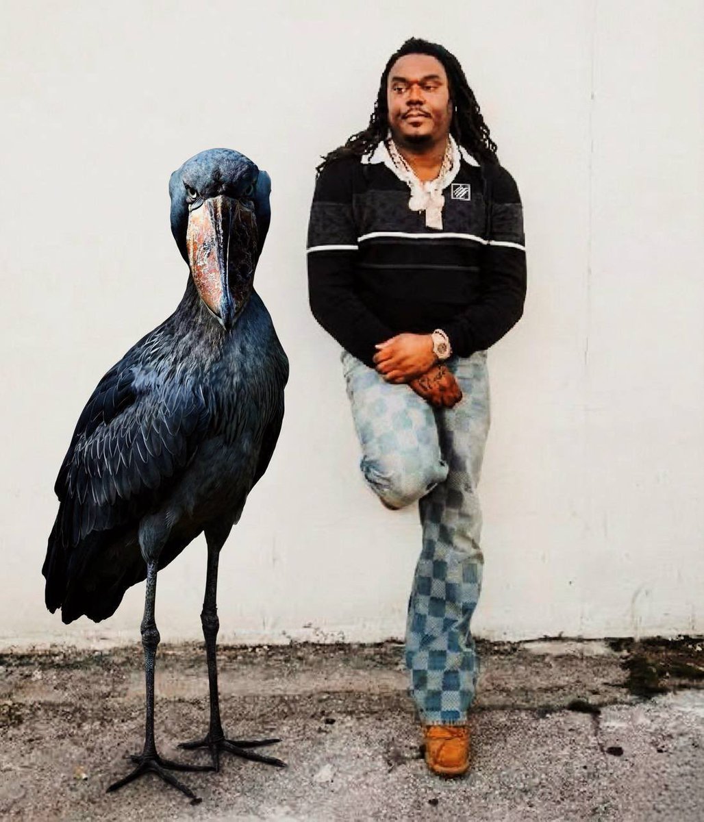 he who chases two rabbits catches neither…

Thats why im finna pull up as a two man 😭😭💯💯

-GCR

$SHOEBILL