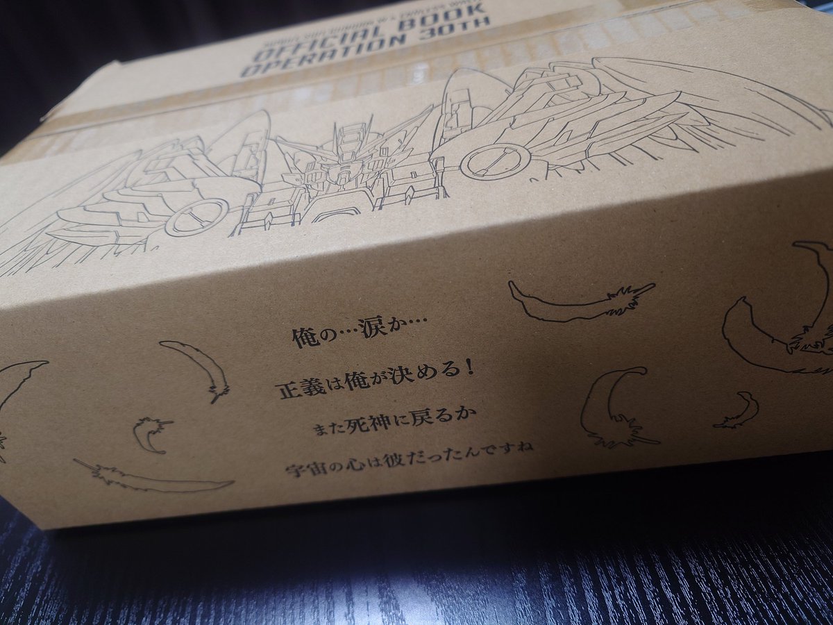 zarusoba_musou's tweet photo. Wの画集、昨日来てた。まだ中は見れてない。 https://t.co/QXC58IetzU