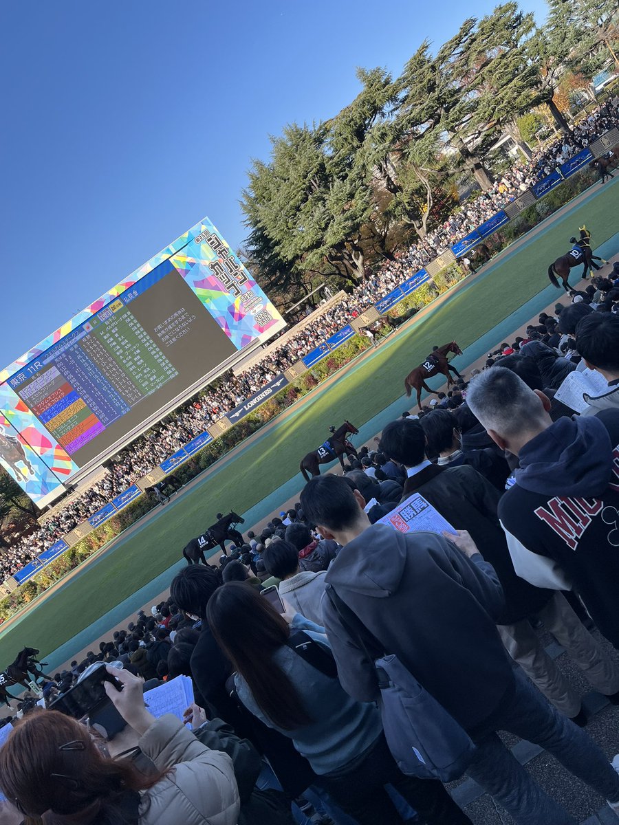 OXIS_SNS's tweet photo. 先日ジャパンカップを見に行って、お馬さんにハマり気味な私😍🌟
馬のツヤに見惚れておりました。
そしてプリティお尻💓
事務所で馬を語らえる仲間募集中🫶🫶🫶
#ジャパンカップ
#競馬
#東京競馬場
#府中
#オキシス
#渋谷
#梅田
#IT会社
#SES営業 https://t.co/lql5kAlpfX