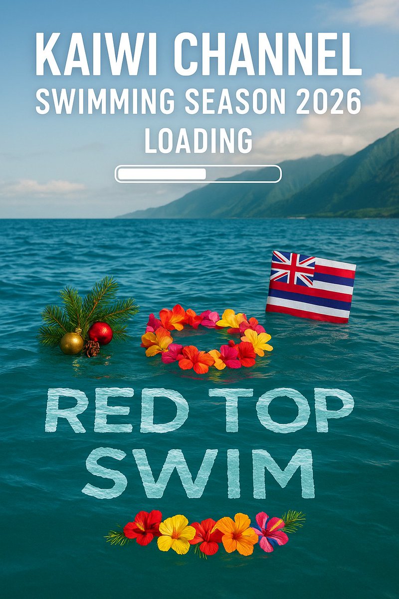 RedTopSwim tweet media