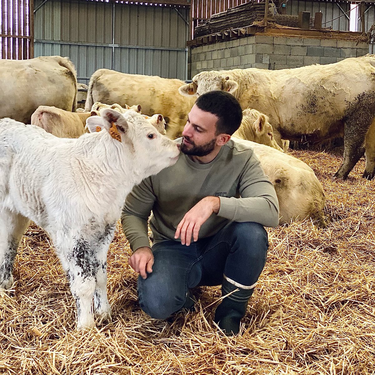 Mathieu Renard tweet media