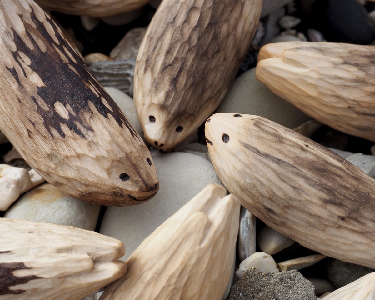 ぴすぴす tweet media