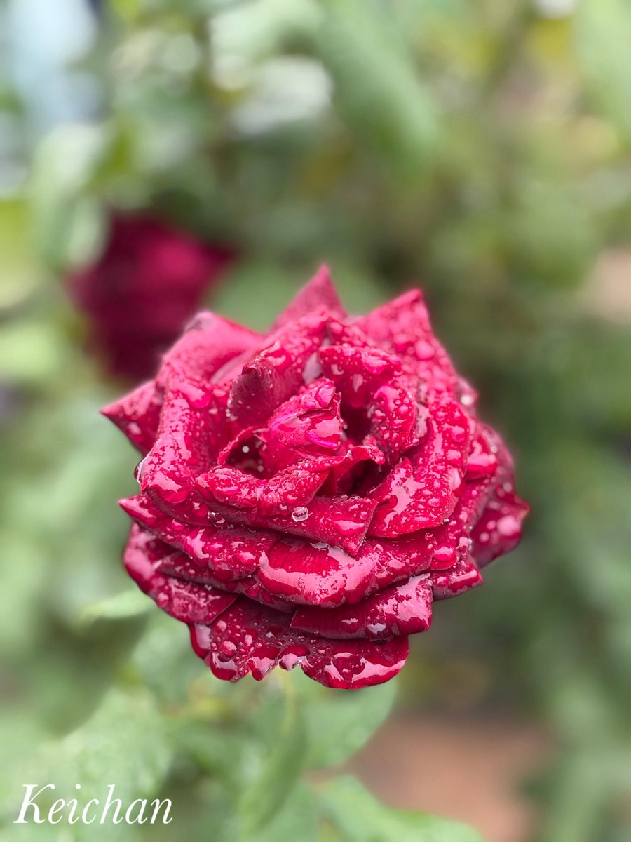 けいちゃん (@k1222_keichan) / Posts / X