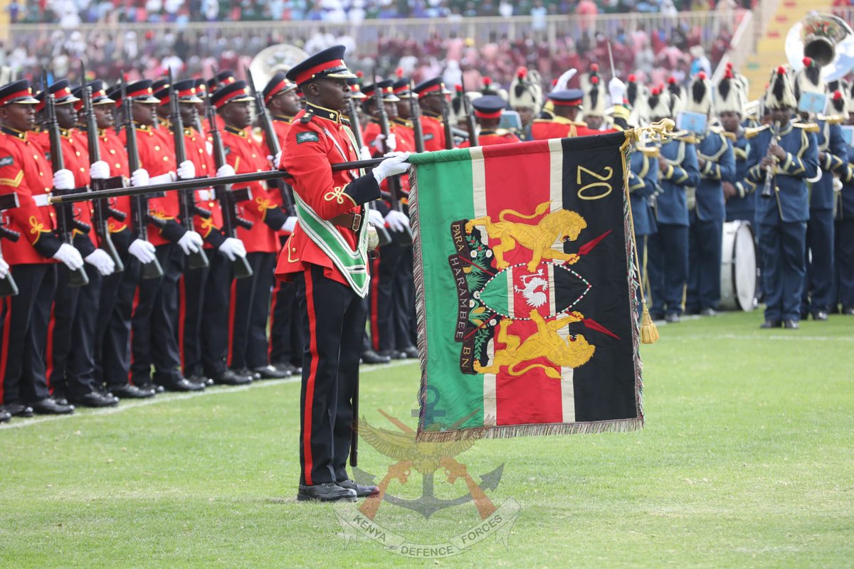 The Colour Officer is responsible for the custody, preservation, and ceremonial display of the regimental Colours. The officer ensures that all drills and procedures involving the Colours are executed with precision and strict adherence to protocol. As leader of the Colour Party,