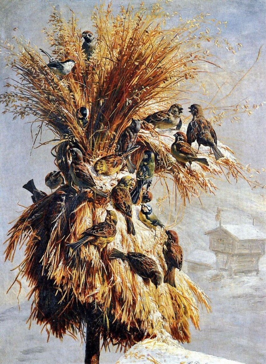 12 Dec: In Old Scandinavia, farmers set out a Julenek, a sheaf of grain kept from the summer harvest, for the birds to feast upon at #Christmas. Called the “Remembrance of Birds,” this act of #kindness was thought to ensure good luck and a plentiful harvest the following year.