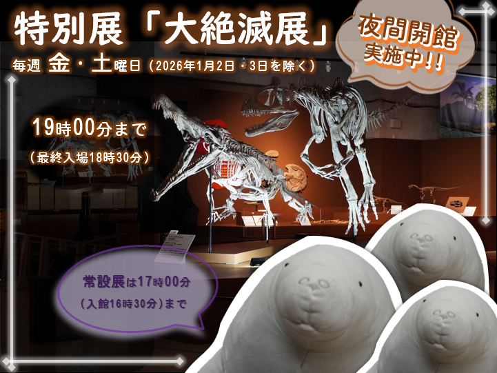 キンケツゥ・ナウ (@StarPredator247) / Posts / X