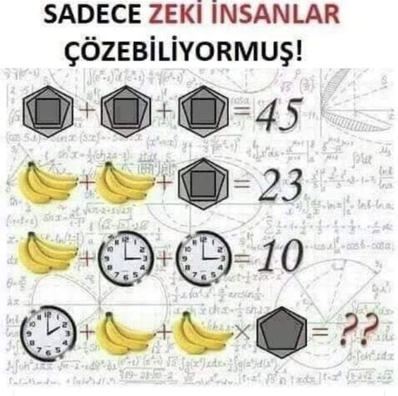 Tuğçe yıldız tweet media