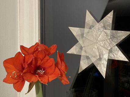 Kommt gut durch euren Tag und lasst euch nicht unterkriegen. ⭐️