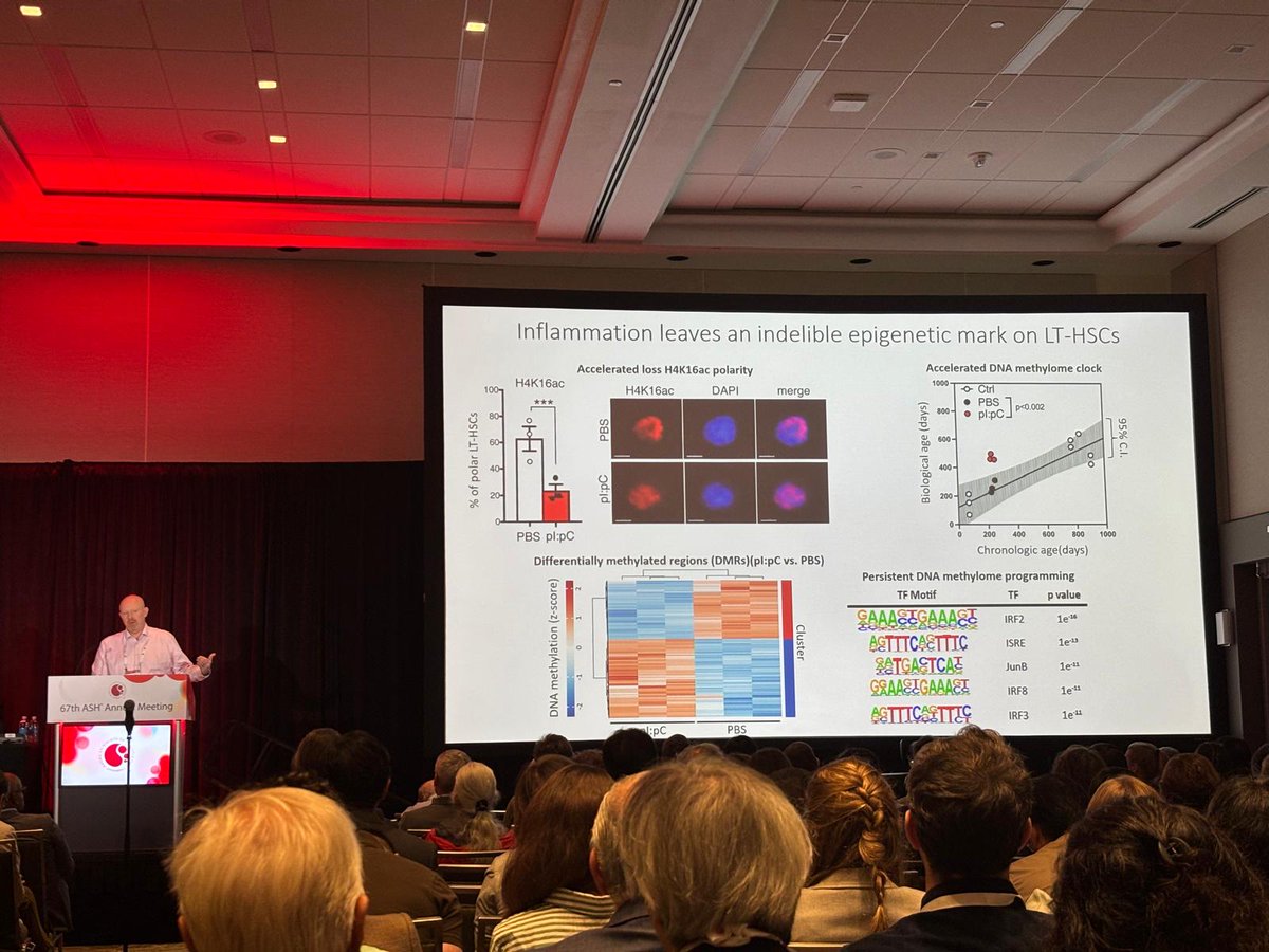 Mick Milsom tweet media