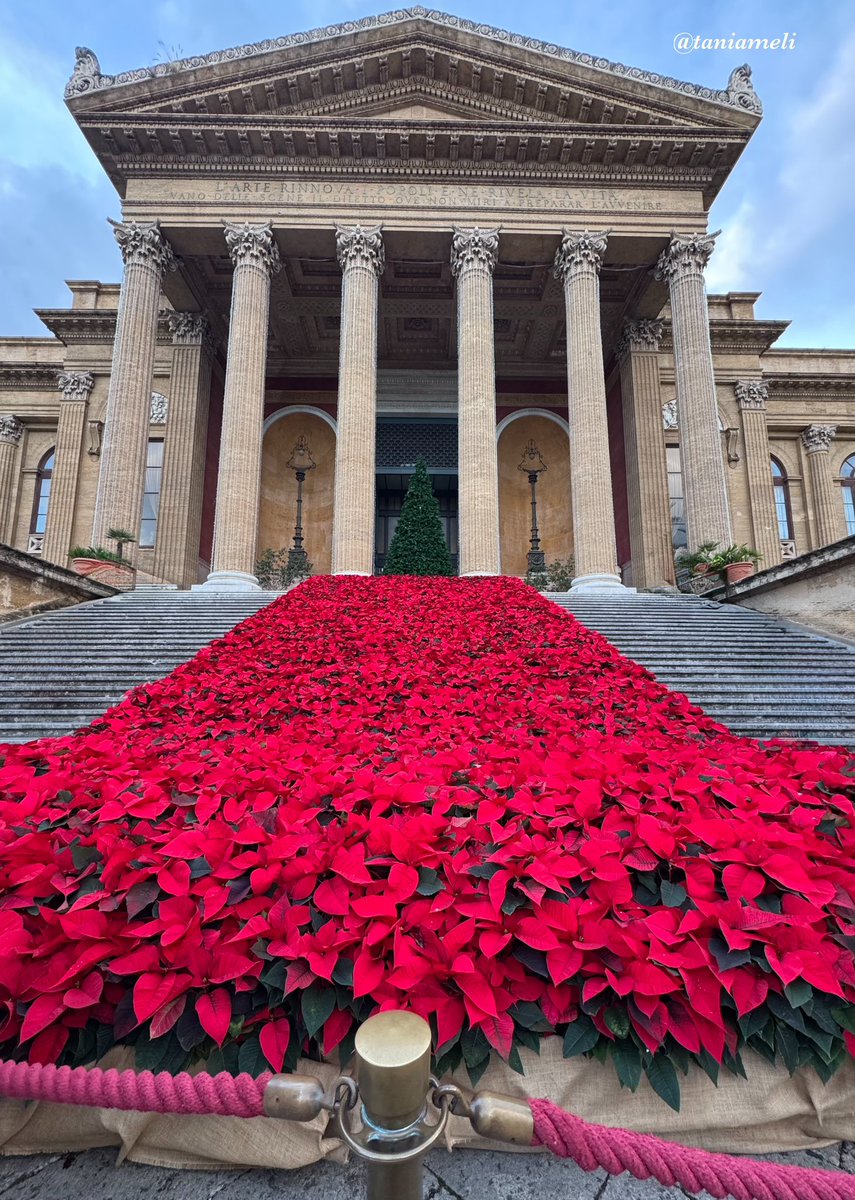 Visit Sicily tweet media