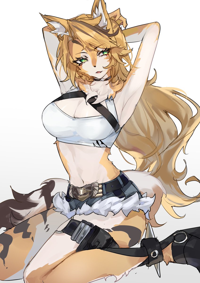 inishienotanaka's tweet image. #ZenlessZoneZero  #Pulchra  🐱