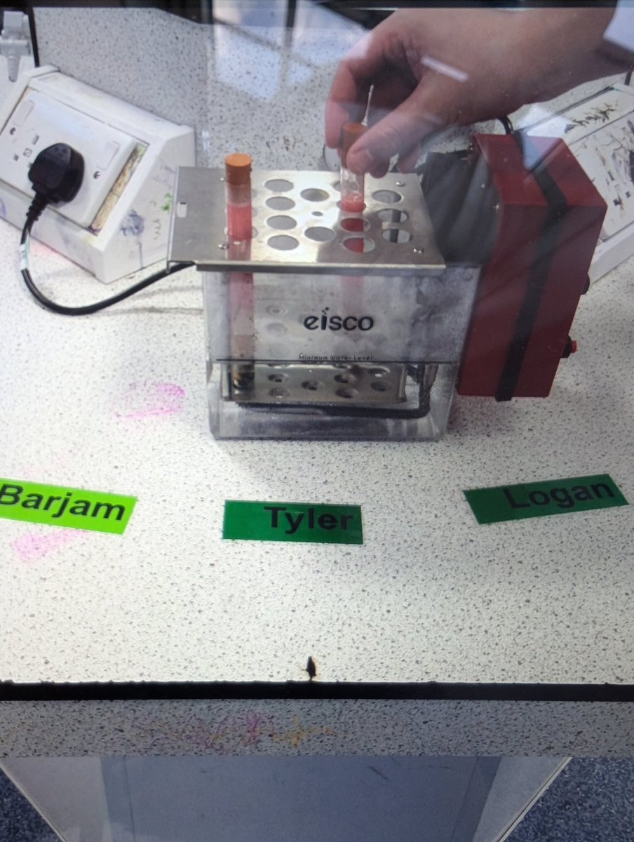 _VictoryPark_'s tweet image. Year 11 this week have been looking at DNA and genes. They worked on extracting DNA from a banana in their practical investigations this week. #ks4biology #ks4science #appliedscience #ks4appliedscience #vpa