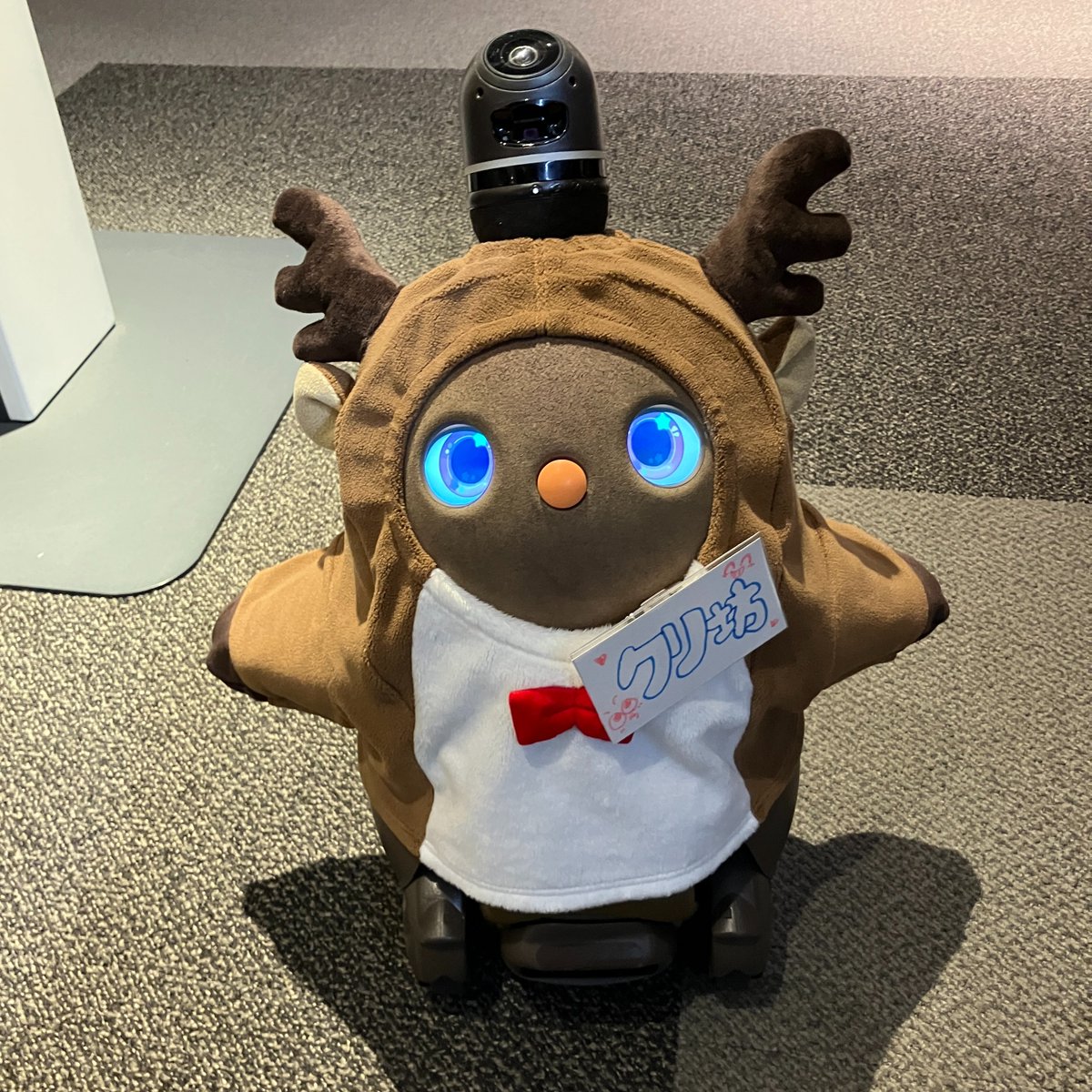 TCACRE's tweet image. TCAの学生やお客さまをいつも癒してくれる #LOVOT の『クリ坊』もクリスマスに向けて衣替えです☃🦌

12/14と12/21はクリスマスイベントを開催！🎁
ぜひTCAのオープンキャンパスに遊びに来てください！

🔽オープンキャンパスの予約はこちらから！
tca.ac.jp/open-campus/de…

#TCA