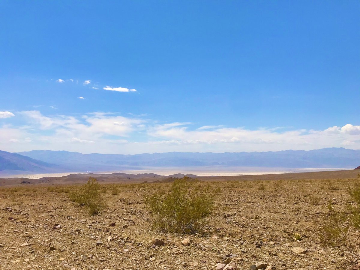 Monica H. tweet media