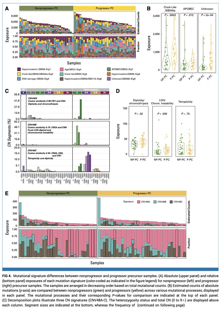 Robert Z. Orlowski tweet media