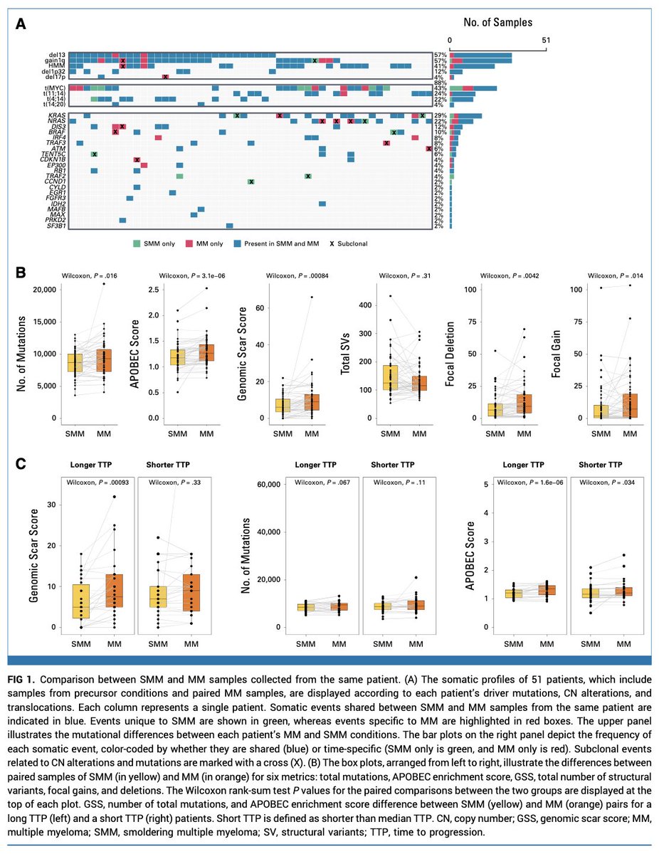 Robert Z. Orlowski tweet media